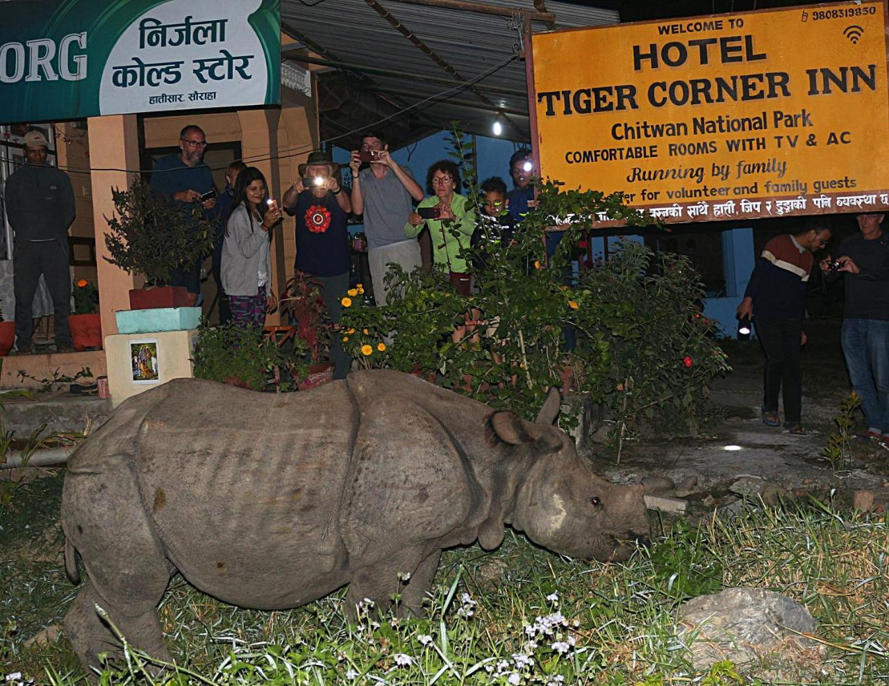 Tiger Corner Inn Homestay Sauraha Esterno foto