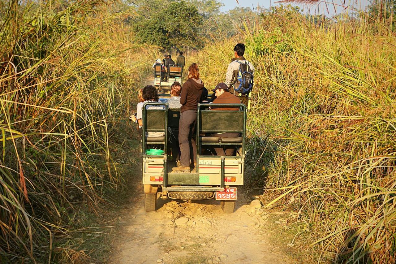 Tiger Corner Inn Homestay Sauraha Esterno foto